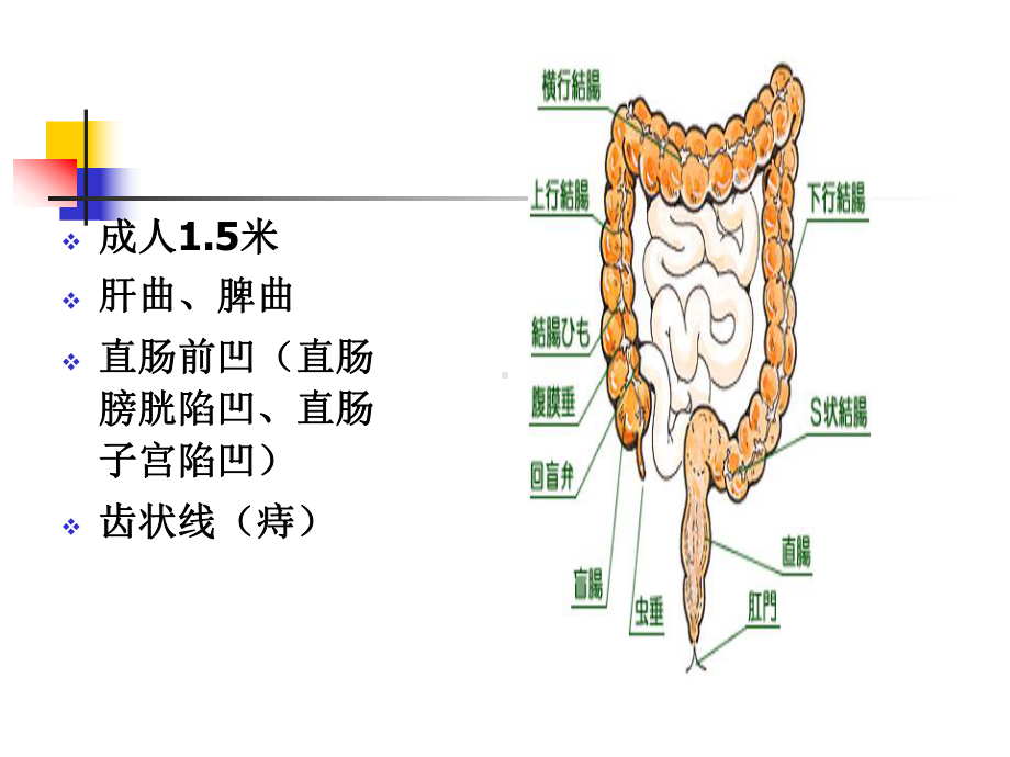 大肠肛管疾病病人的护理-泰山护理职业学院课件.ppt_第3页