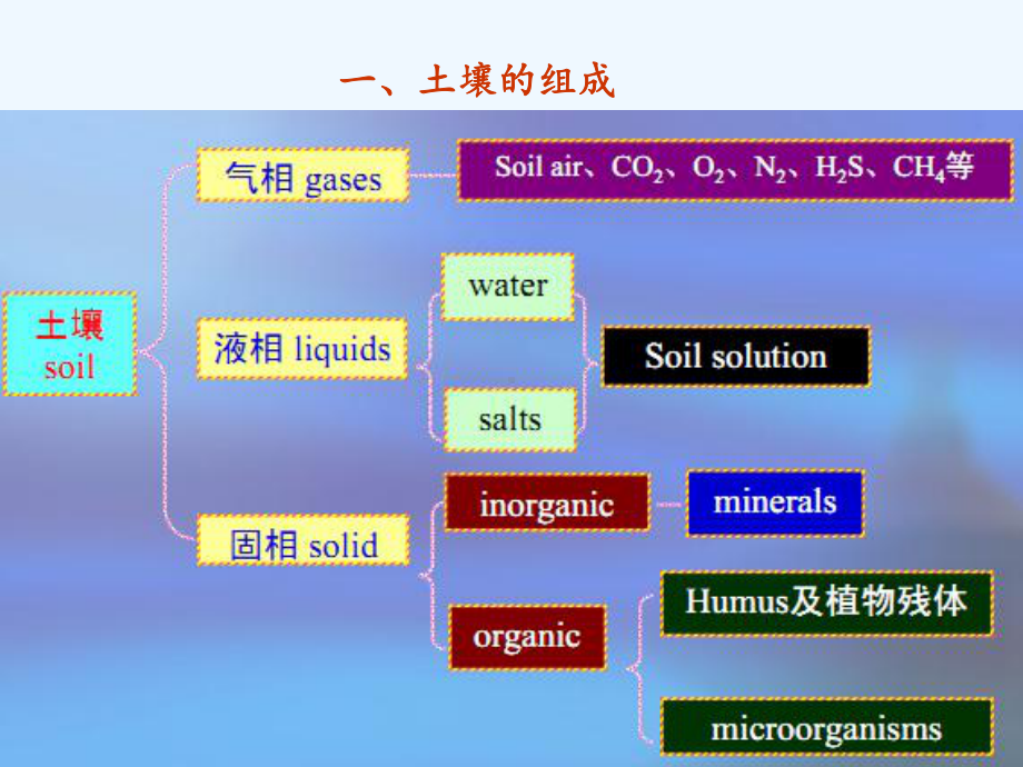 有机污染物在土壤界面上的吸附行为课件.ppt_第3页