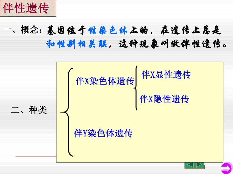 伴性遗传-（新教材）高中生物必修二课件.pptx_第2页