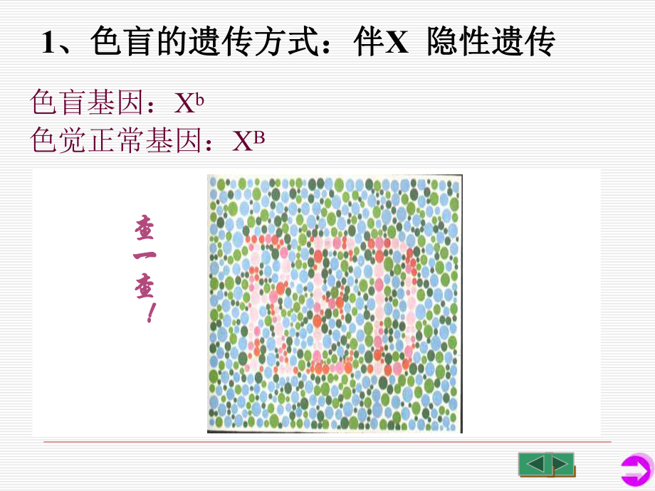 伴性遗传-（新教材）高中生物必修二课件.pptx_第3页