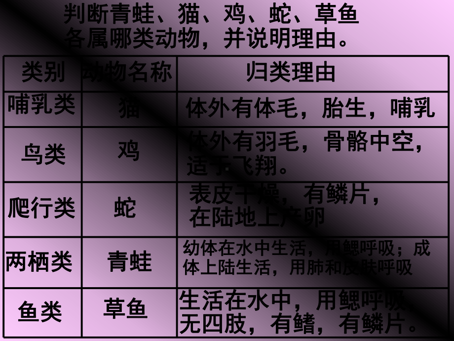 七级科学无脊椎动物分类课件.ppt_第1页