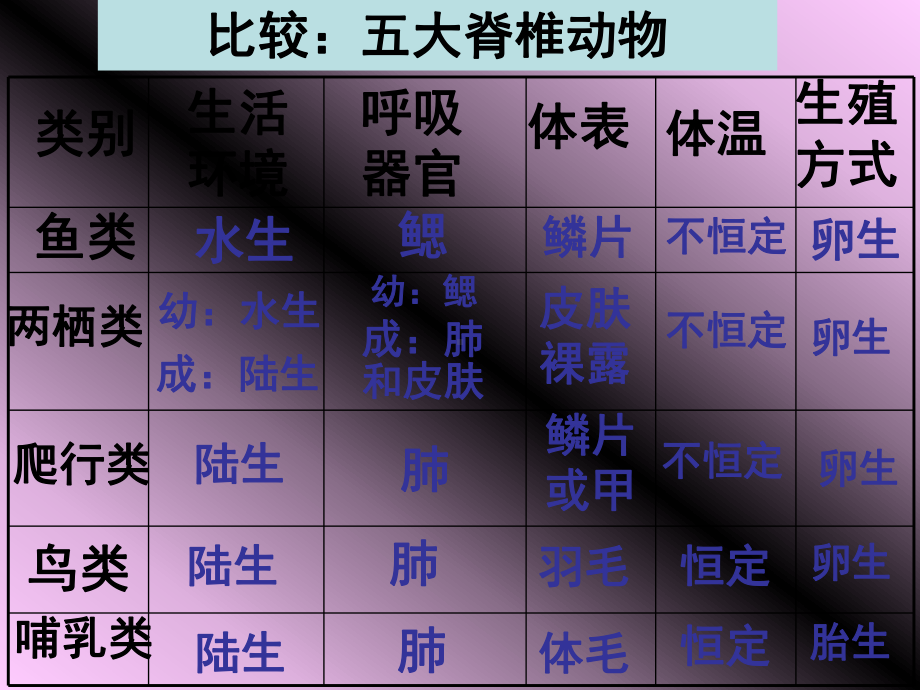 七级科学无脊椎动物分类课件.ppt_第2页