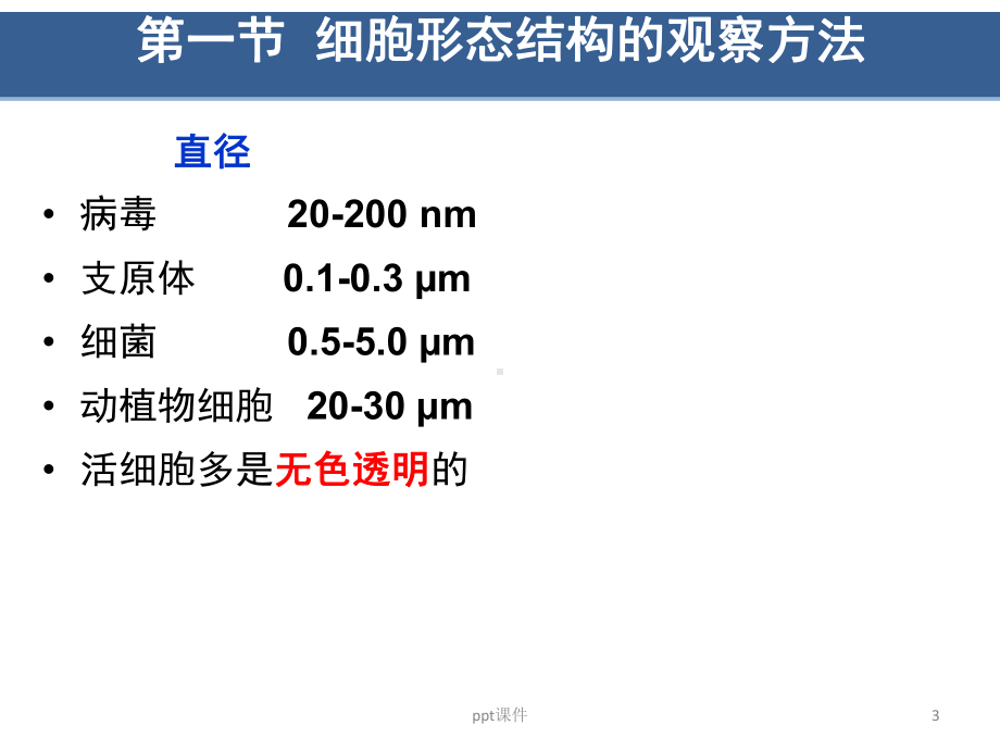 第3章-细胞生物学研究方法(翟中和第四版)课件.ppt_第3页