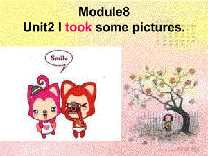 四年级英语下册课件-Module 8 Unit 2 I took some pictures.（5）-外研版（三起）(共21张PPT).ppt