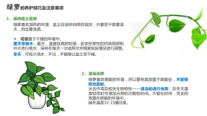 常见绿植养护方法课件.ppt