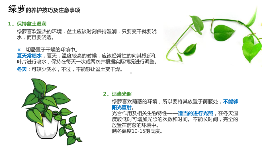 常见绿植养护方法课件.ppt_第1页