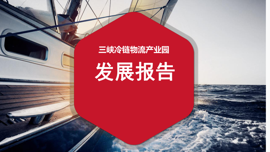 冷链物流产业园发展分析报告课件.ppt_第1页