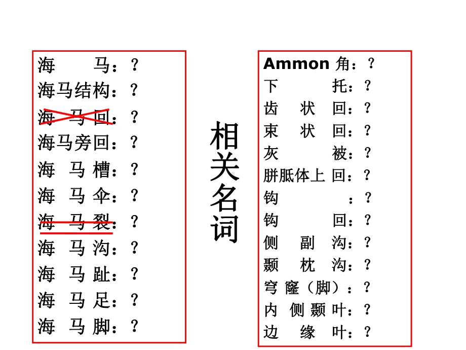 海马解剖与MR表现课件.ppt_第2页