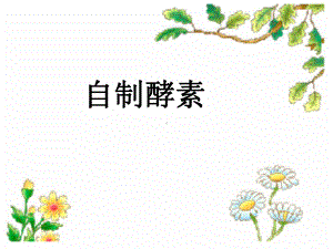 制做环保酵素的比率课件.ppt