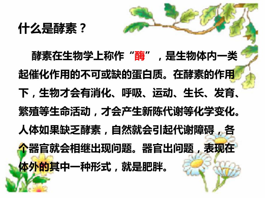 制做环保酵素的比率课件.ppt_第2页