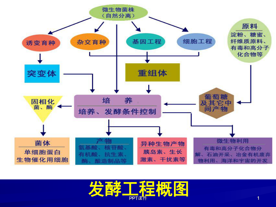 发酵工程课程总结课件.ppt_第1页