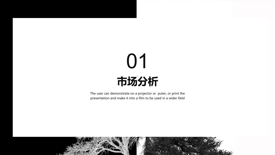 时尚简约企业宣传工作汇报经典高端创意模板课件.pptx_第3页