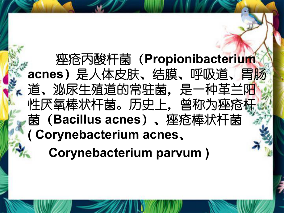 痤疮丙酸杆菌肉芽肿感染性疾病概念和疾病研究课件.ppt_第2页