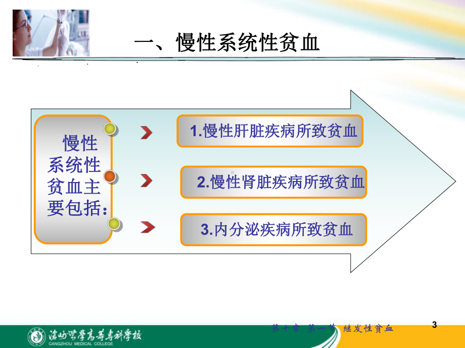 真性红细胞增多症课件.ppt_第3页