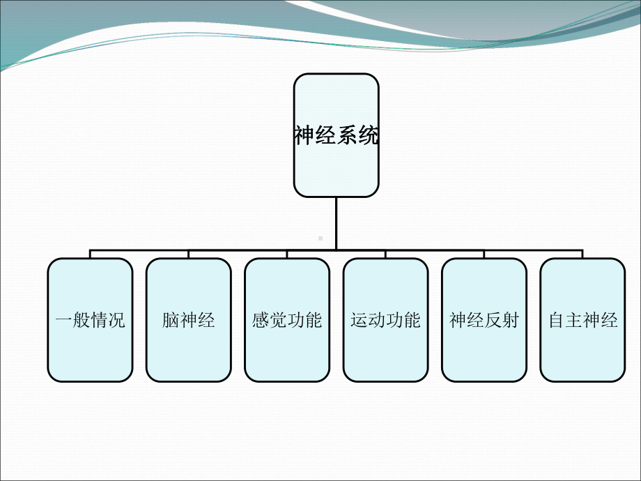 神经系统体格检查28787课件.ppt_第3页