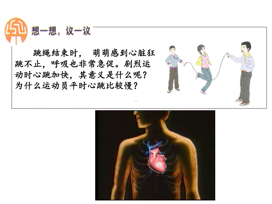 第三节输送血液的泵课件.ppt_第3页