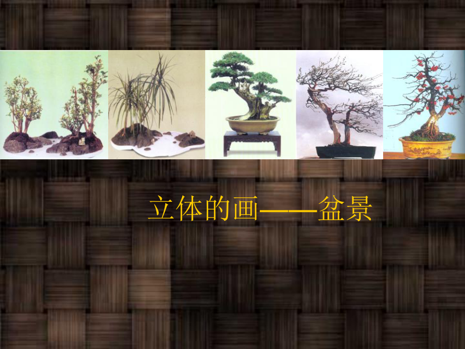 广西美术出版社九年级(初三)美术下册：立体的画-盆景-课件1.ppt_第1页