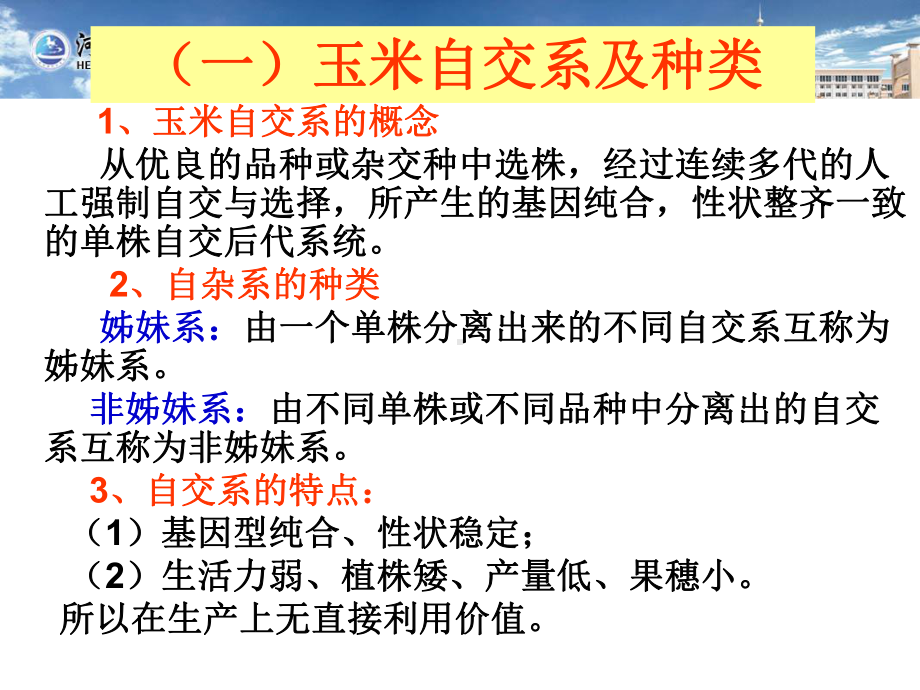 玉米杂交种子生产技术课件.ppt_第3页