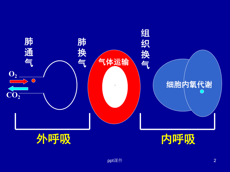 急性呼吸衰竭及抢救措施课件.ppt_第2页