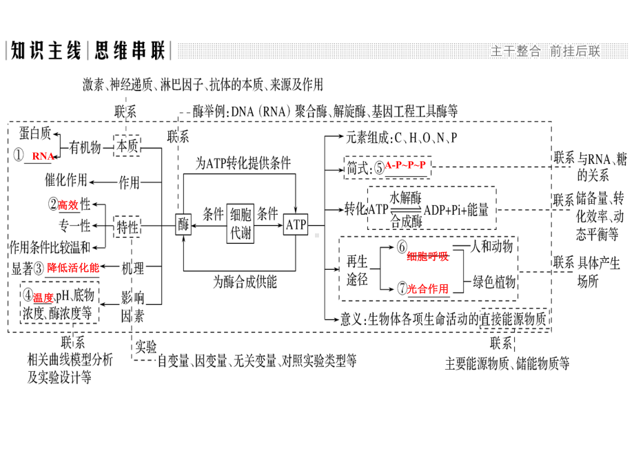 酶和ATP二轮复习课件.ppt_第3页