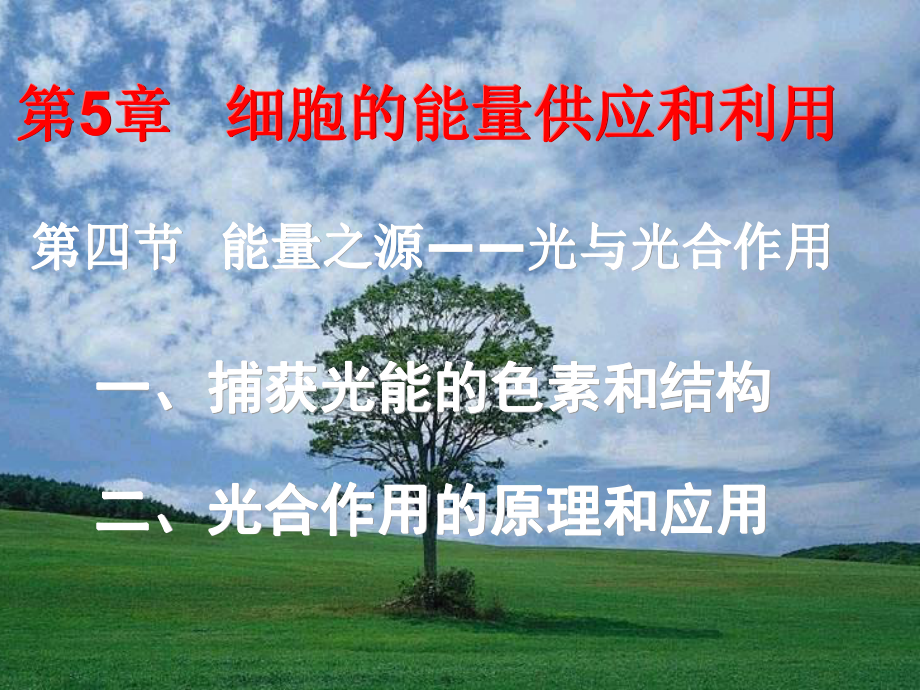 影响光合作用强度(速率)的因素课件.ppt_第1页