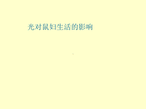 三年级下册综合实践活动课件-光对鼠妇生活的影响 全国通用(共14张PPT).pptx