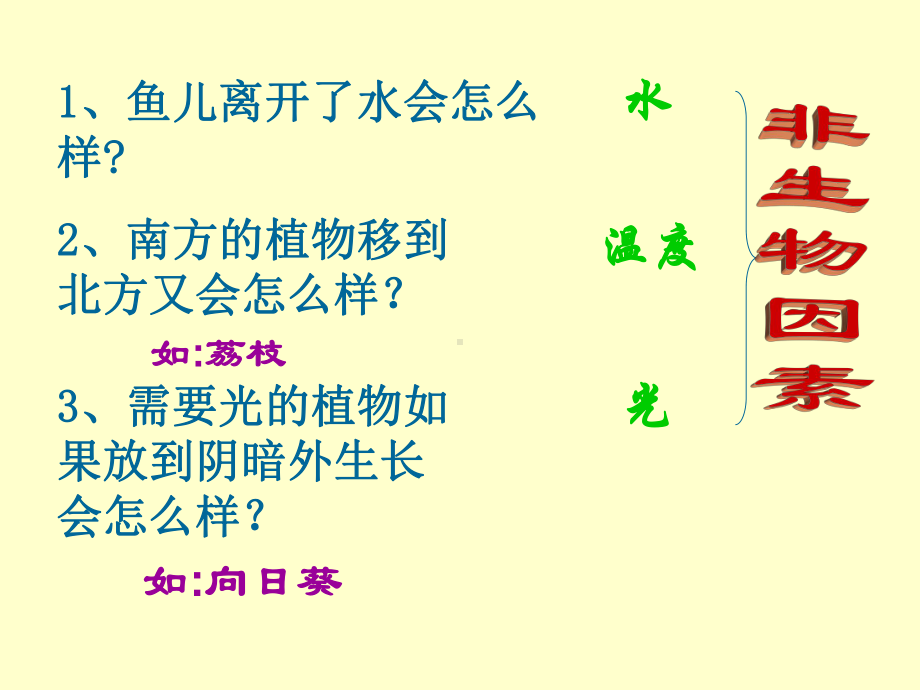 三年级下册综合实践活动课件-光对鼠妇生活的影响 全国通用(共14张PPT).pptx_第3页