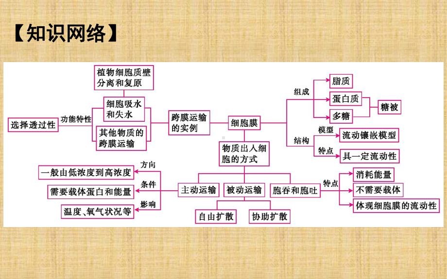 高考生物二轮复习教学课件：物质跨膜运输的实例和方式.ppt_第2页