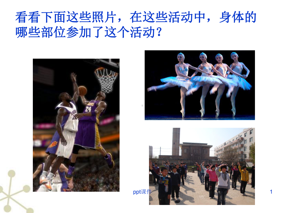 神经系统的组成公开课课件.ppt_第1页