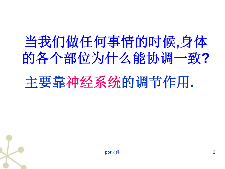 神经系统的组成公开课课件.ppt_第2页