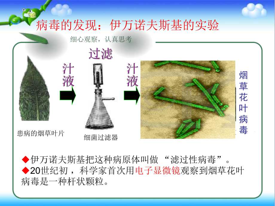 最新人教版初中八年级生物上册第五章-病毒公开课课件.ppt_第2页