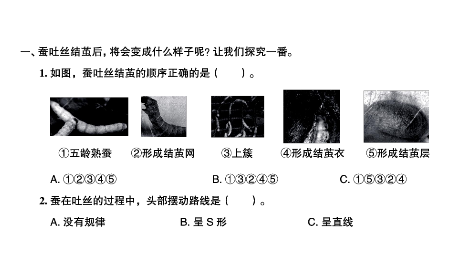 三年级科学下册习题课件-第4课时 蚕变了新模样 教科版.ppt_第2页