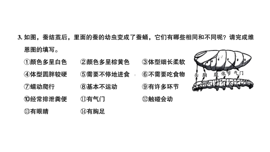 三年级科学下册习题课件-第4课时 蚕变了新模样 教科版.ppt_第3页