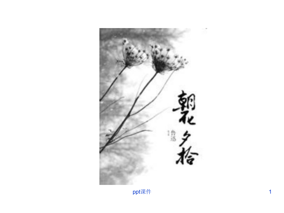 朝花夕拾1课件.ppt_第1页