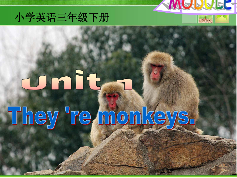 三年级英语下册课件-Module 2 Unit 1 They're monkeys.（9）-外研版（三起）.ppt_第1页