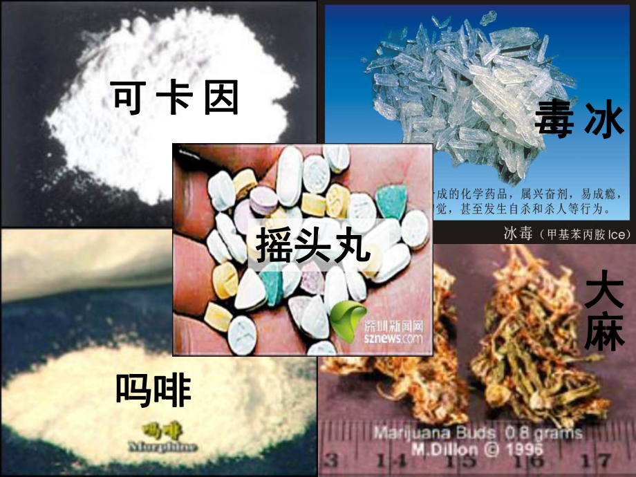 禁毒教育主题班会《珍爱生命-远离毒品-》课件-实用.ppt_第3页