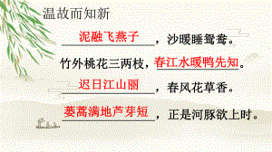 三年级语文下册课件-1 三衢道中6-部编版(共8张PPT).pptx