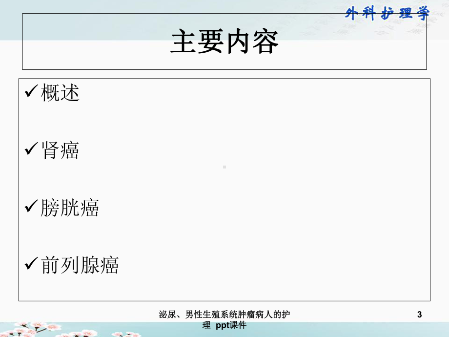 泌尿男性生殖系统肿瘤病人的护理课件.ppt_第3页
