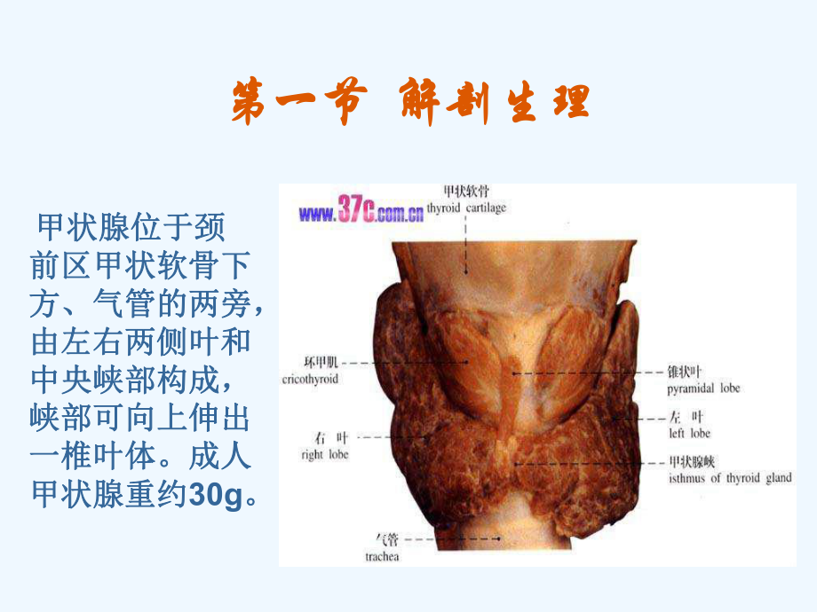 第十二章-颈部疾病病人的护理课件.ppt_第3页