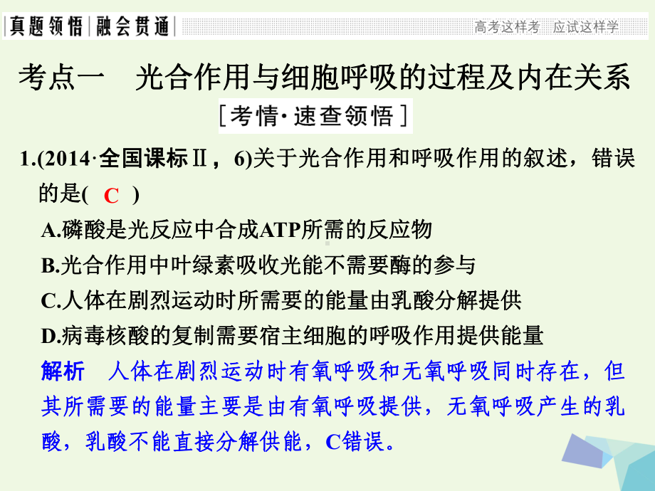 高考生物二轮专题复习第一部分专题突破篇第二单元专题2两大基础代谢--光合作用和细胞呼吸课件.ppt_第3页