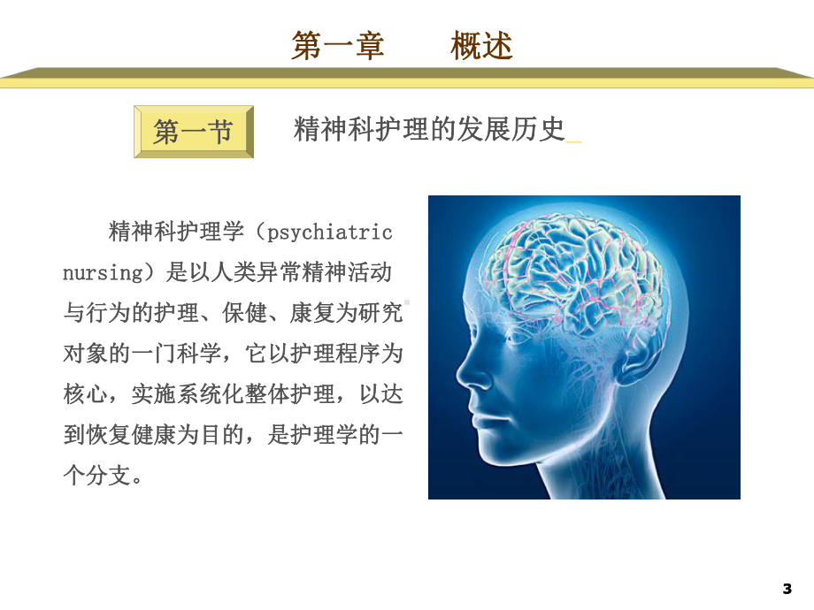 （实用课件）精神科护理学课件.ppt_第3页