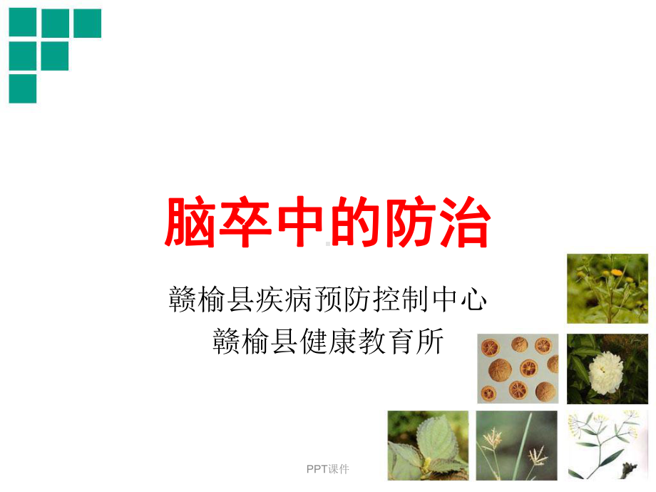 脑卒中防治知识讲座课件.ppt_第1页