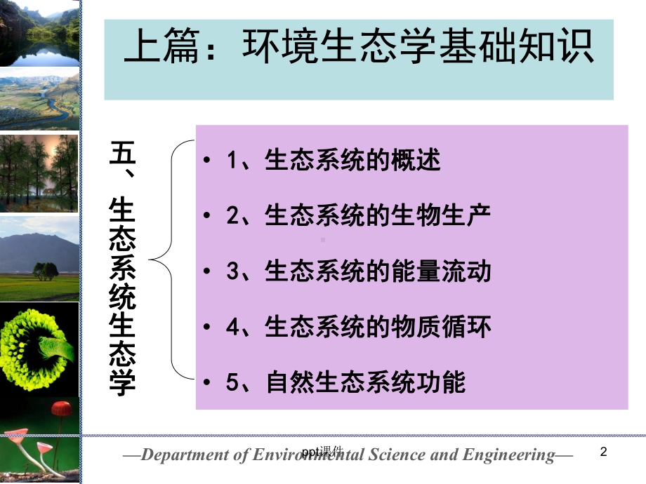 生态系统生态学课件.ppt_第2页