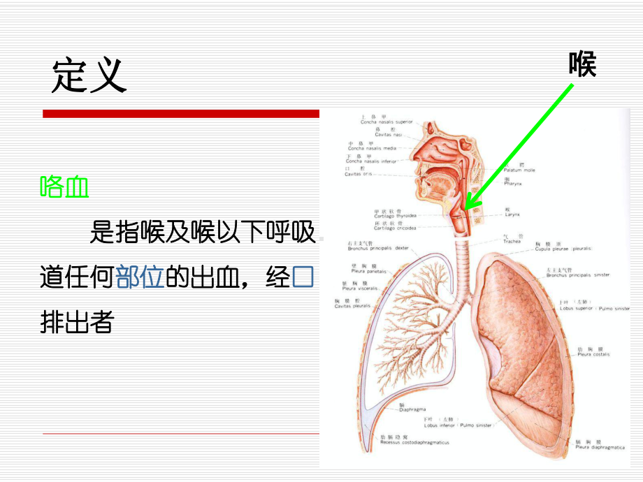 肺结核大咯血的抢救及护理措施课件.ppt_第2页