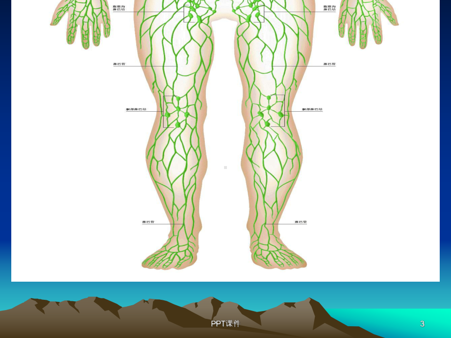 淋巴引流手法课件.ppt_第3页