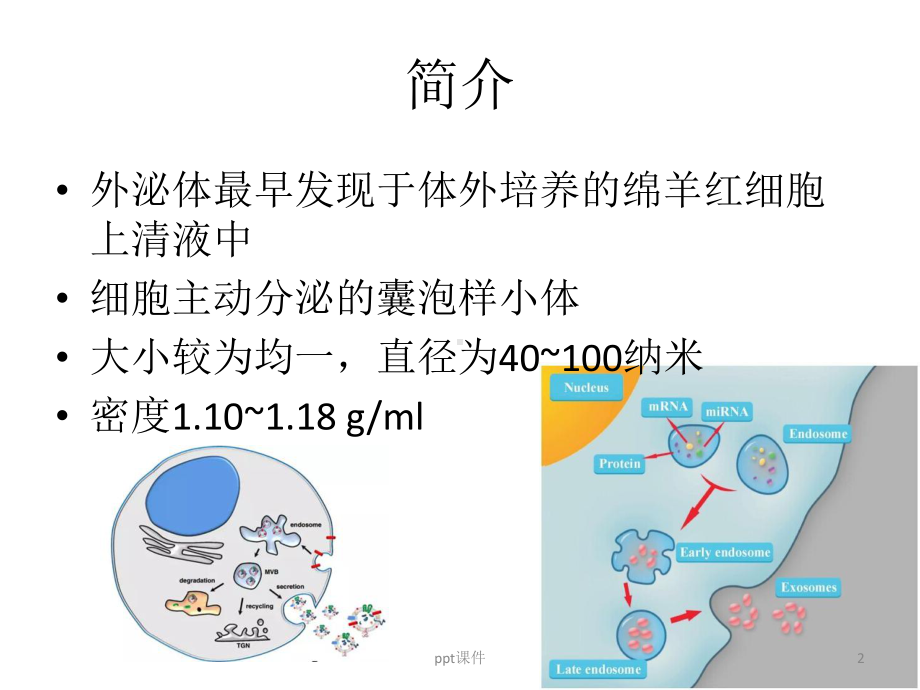 未来的医学研究和应用新方向课件.pptx_第2页