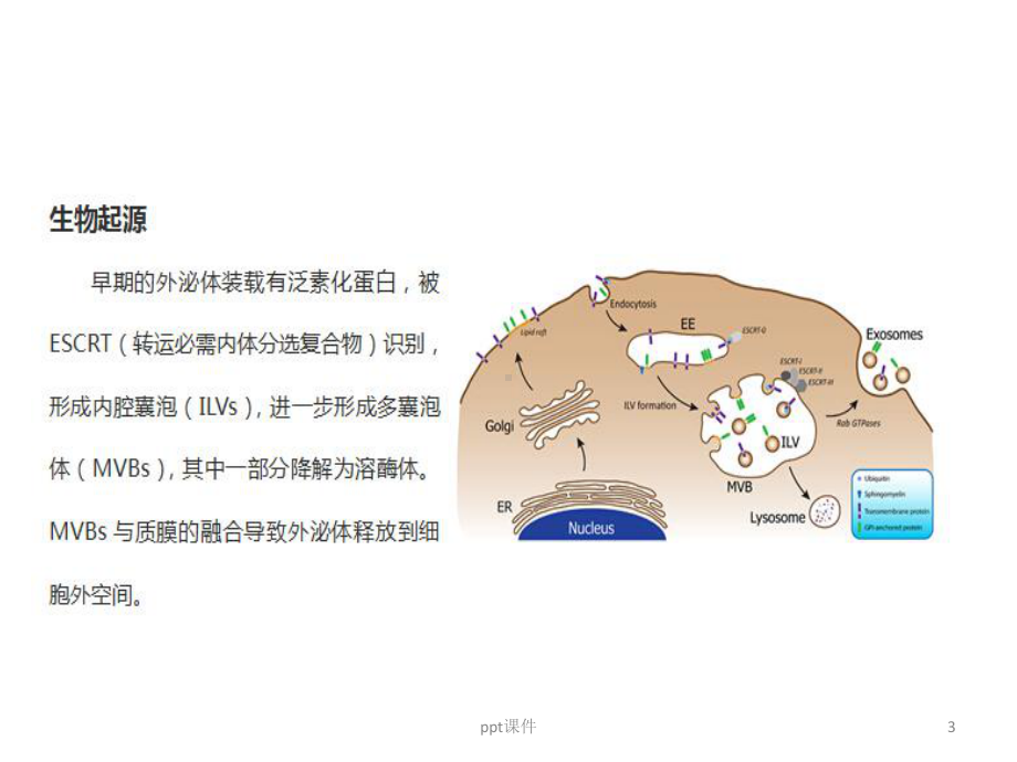 未来的医学研究和应用新方向课件.pptx_第3页