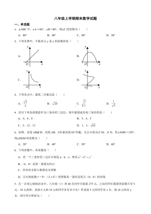 云南省文山壮族苗族自治州八年级上学期期末数学试题（附答案）.pdf