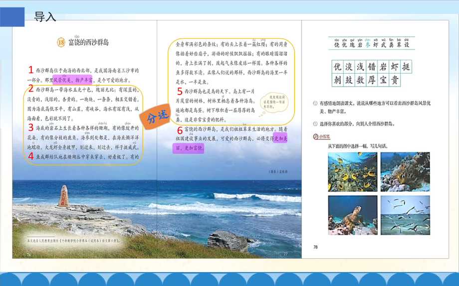 三年级上册语文教学课件-18.富饶的西沙群岛27-部编版(共13张PPT).pptx_第3页