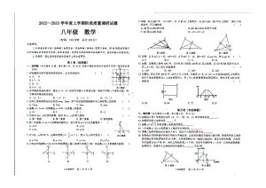 广西百色市乐业县2022-2023学年八年级上学期期中数学试题.pdf